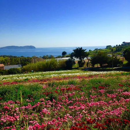Simple Life In Provence * Ιέρ
