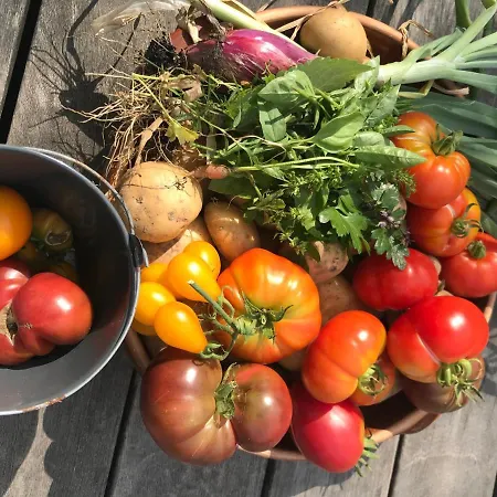 Πανσιόν Simple Life In Provence *